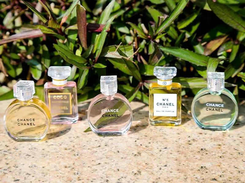 香奈儿5款最受欢迎的香水,你买过其中哪一款?
