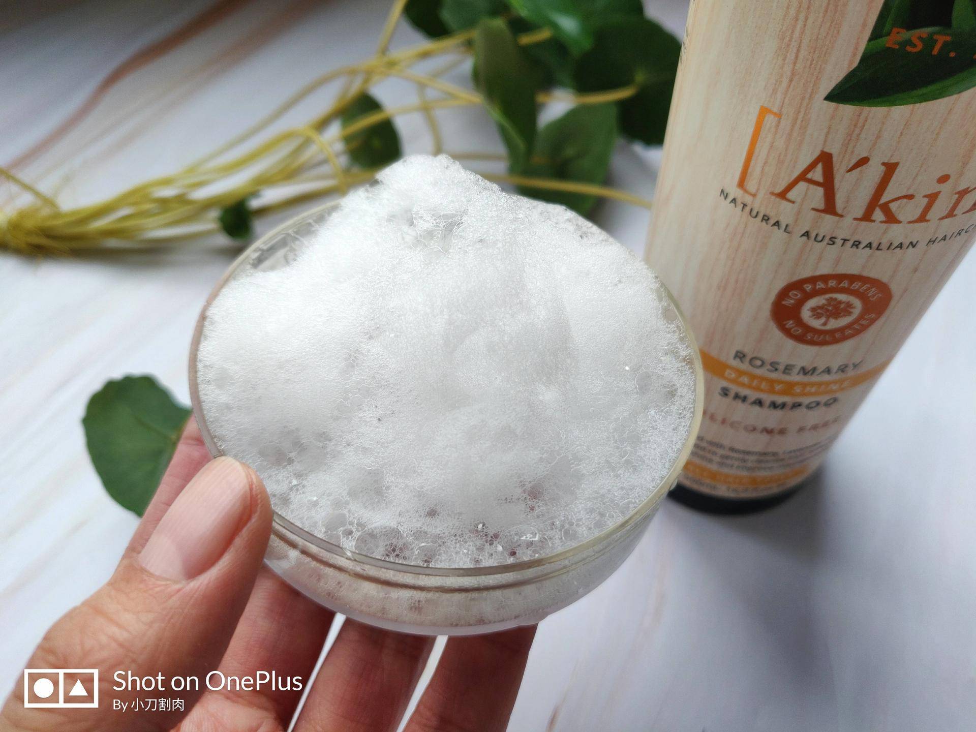 乱花渐欲迷人眼好在哪里,乱花渐欲迷人眼怎么样