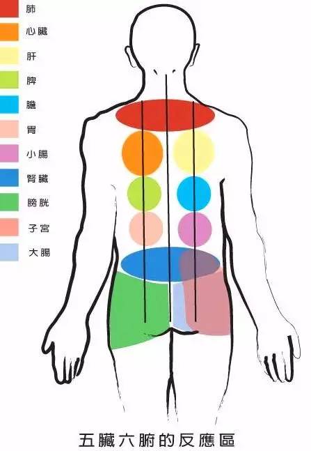 开春养背,冬天养背的最佳方法