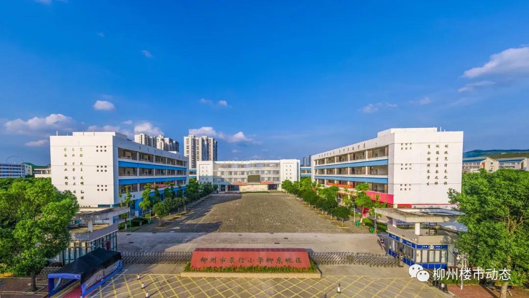 这个夏天柳东“热”得不像话，科教文娱全方位爆红