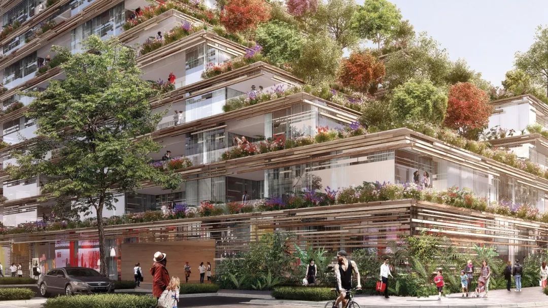 隈研吾绝美竹屋,隈研吾东京住宅