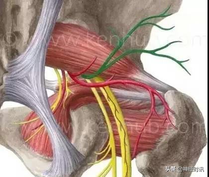 病理脚麻的最快恢复方法,脚麻诊断思路