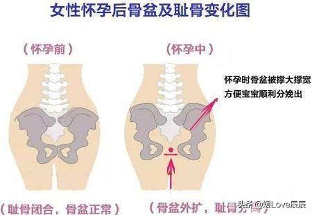 我是媛媛原版视频,我是媛媛完整视频