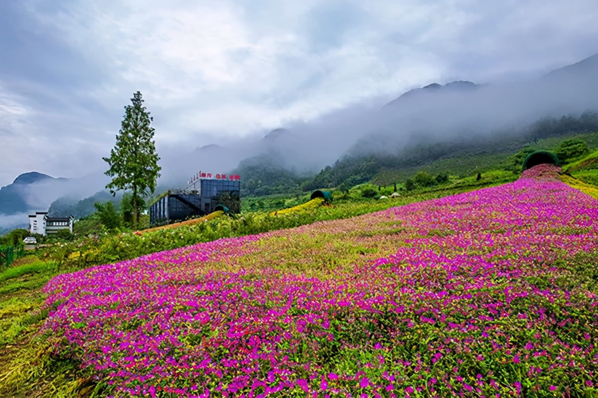 长三角城市群最佳旅游线路,长三角示范区旅游详细攻略