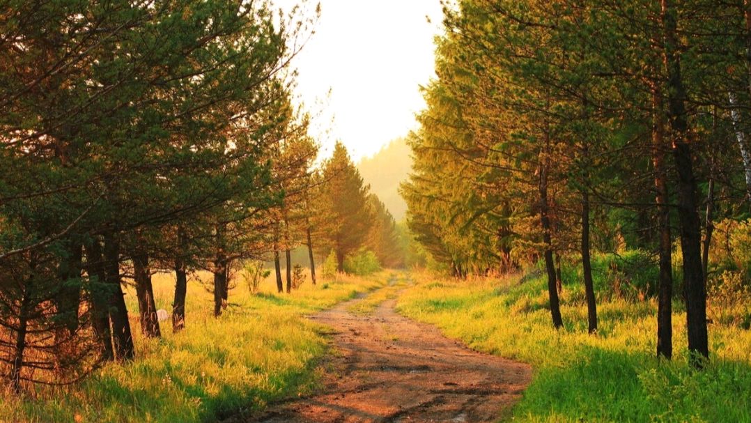 杨万里两首蕴含人生哲理的小诗，清新自然，极富趣味，值得一读