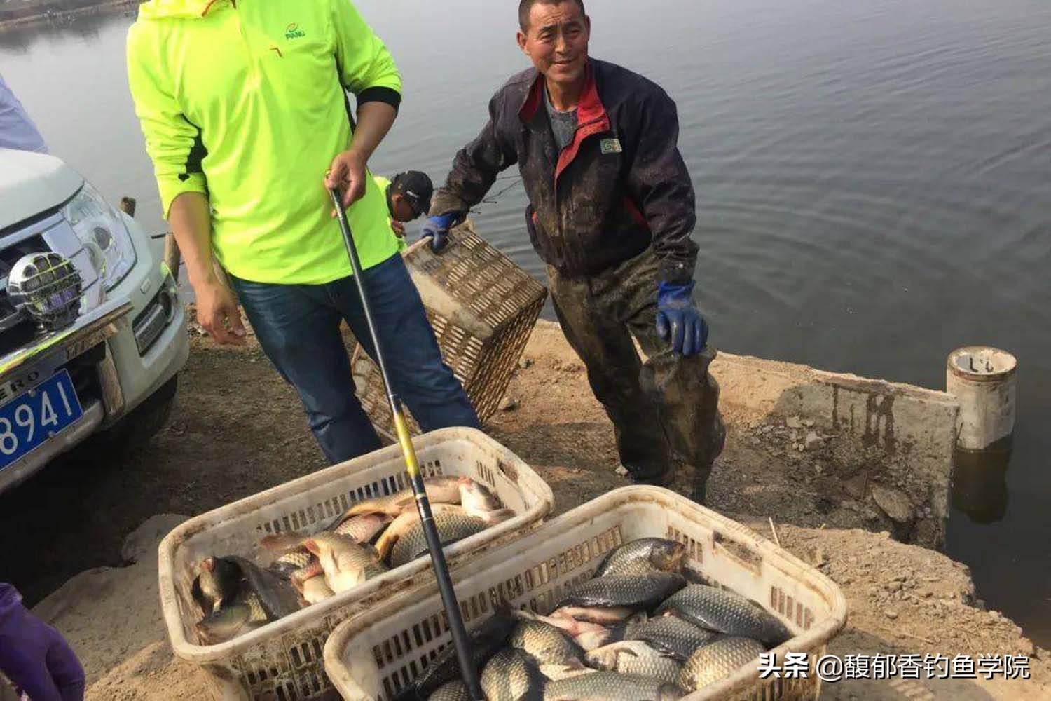 鱼缺氧需要怎么钓怎么判断鱼缺氧,鱼缺氧状态怎么钓怎么让鱼不缺氧