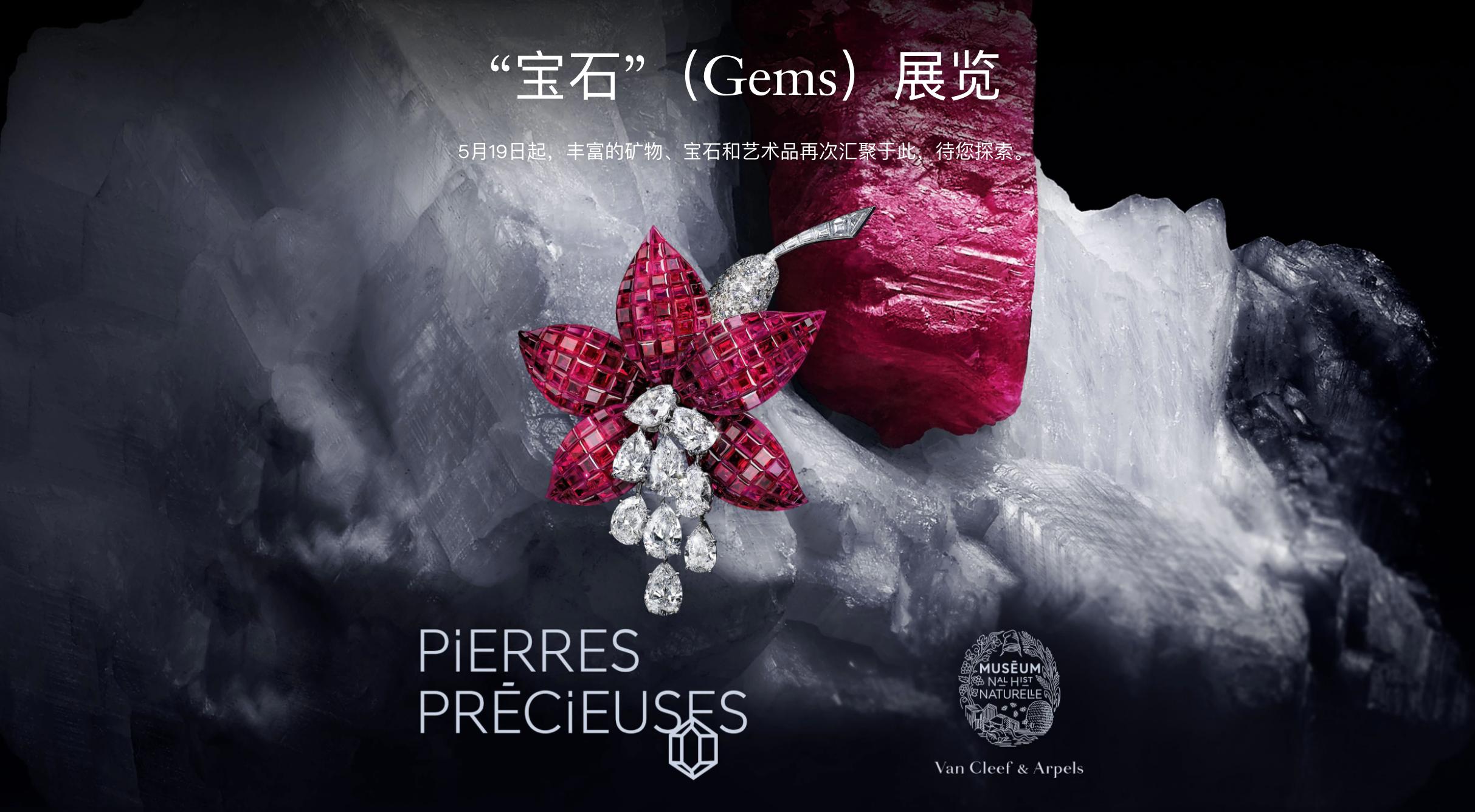 卡地亚为首的珠宝部门比疫情前增长43%!瑞士历峰集团最新季报