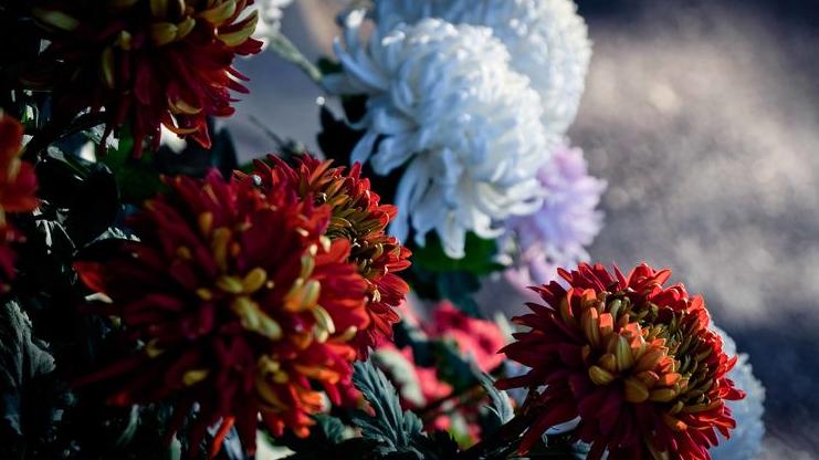 立冬的100首诗,凛冬将至北风呼啸