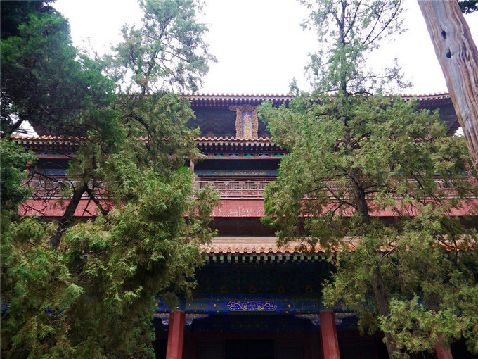 鏇查槣瀛斿簷鍥涘杞洖,鏇查槣瀛斿簷涓囦笘甯堣〃鍖鹃