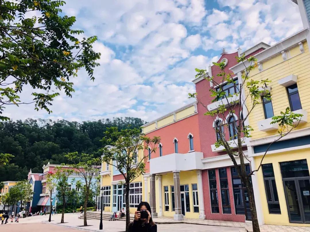 春日赏花深圳,深圳春游赏花