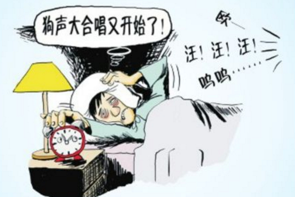 每天都被狗叫吵醒,经常半夜被邻居家的狗叫吵醒