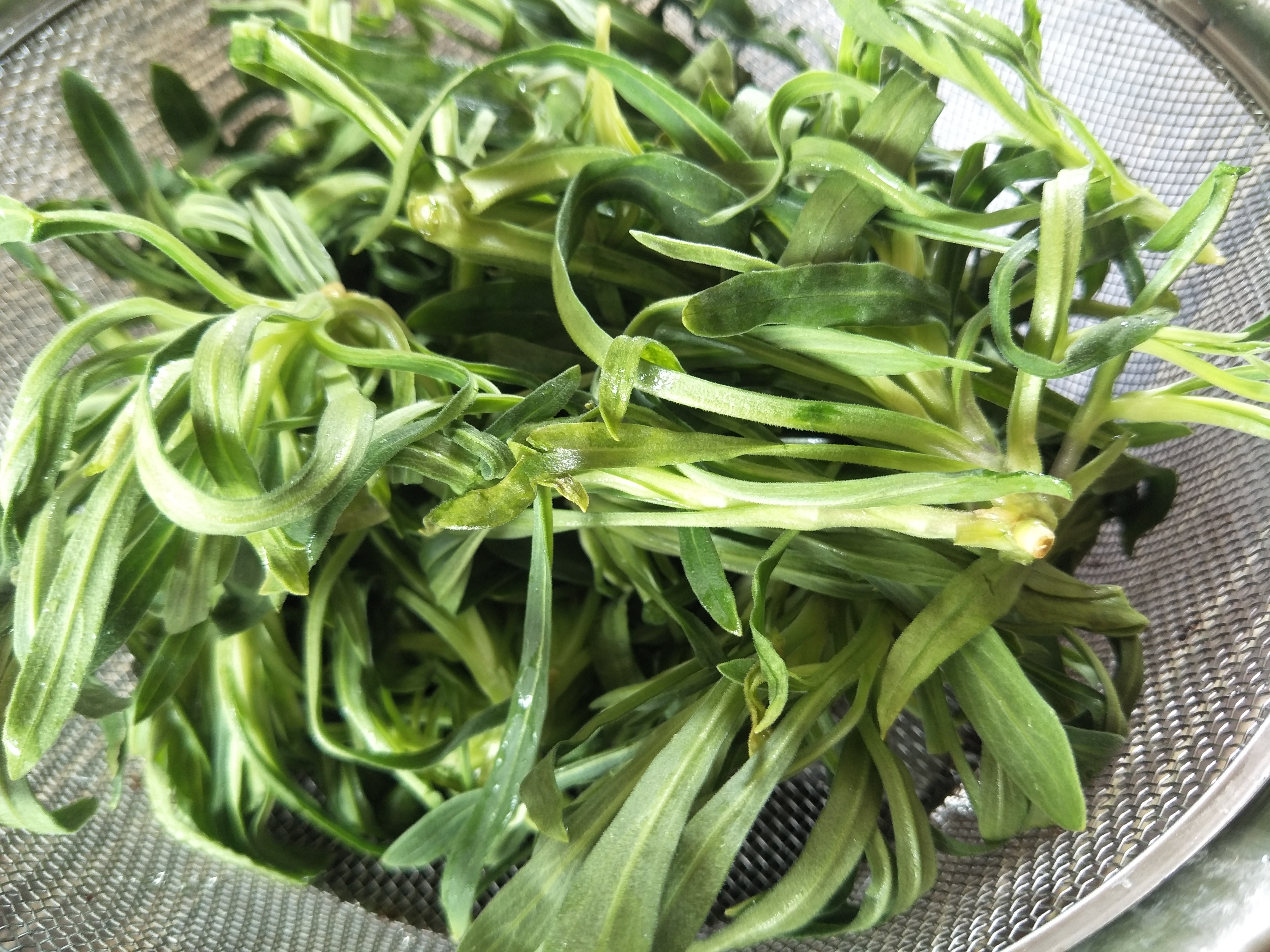 炒菜油崩手怎么办,炒菜总是被油崩到怎么办