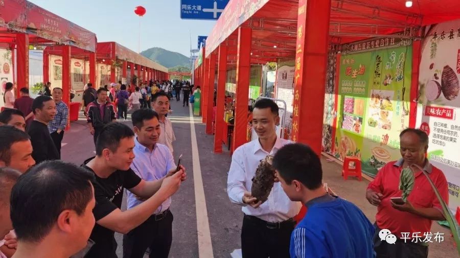 桂林平乐美食攻略,广西桂林平乐县特色美食