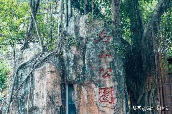 深圳100个免费景点,深圳免费100个景点