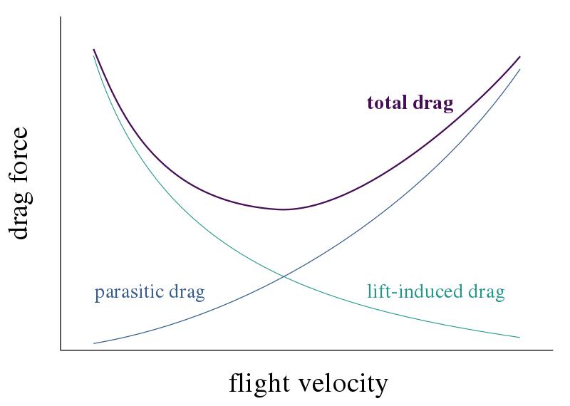 牛顿三大定律秒懂,物理关于牛顿第三定律的完整过程