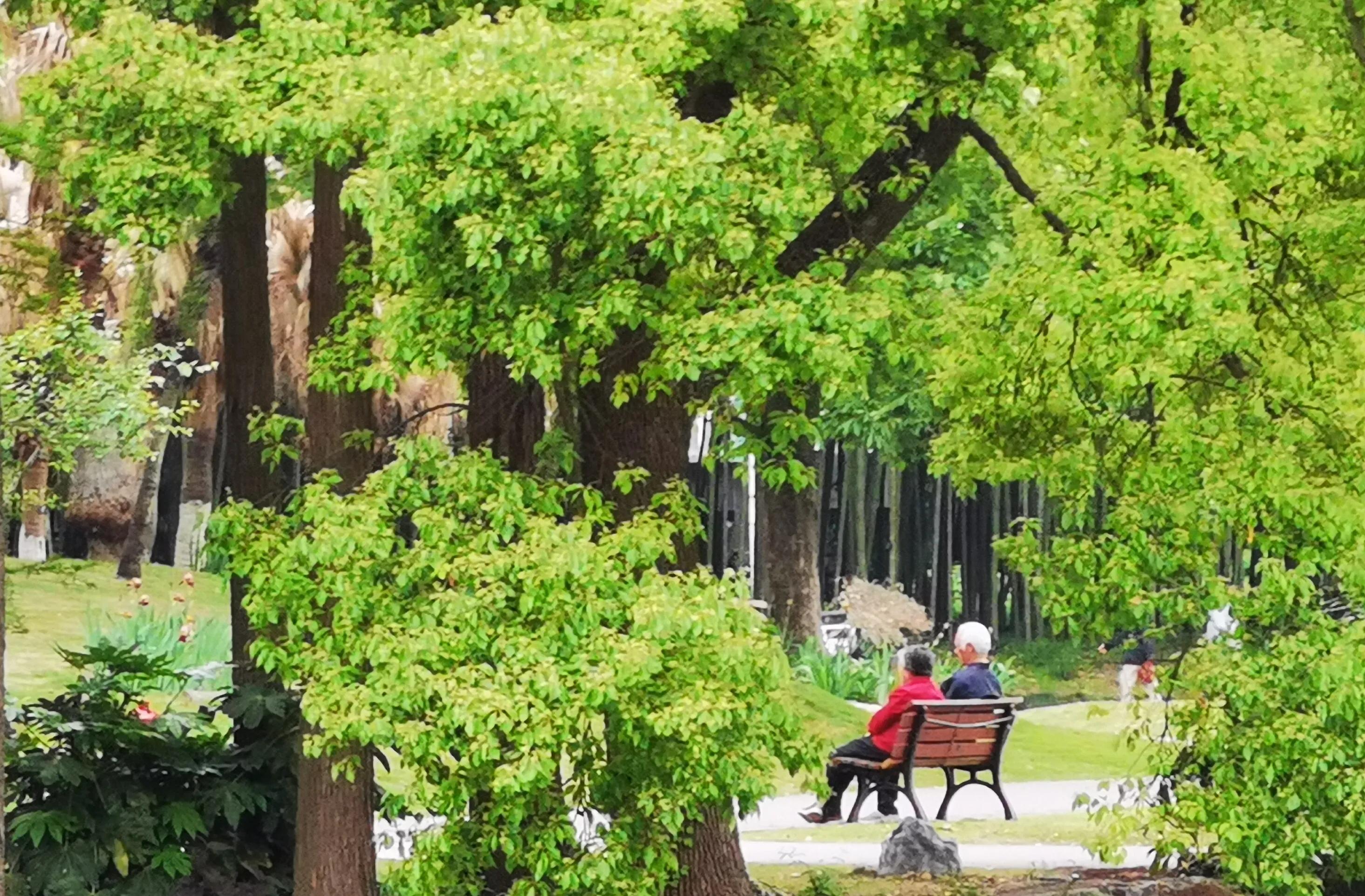 手拍世界手机摄影平台,手机摄影作品集大全集