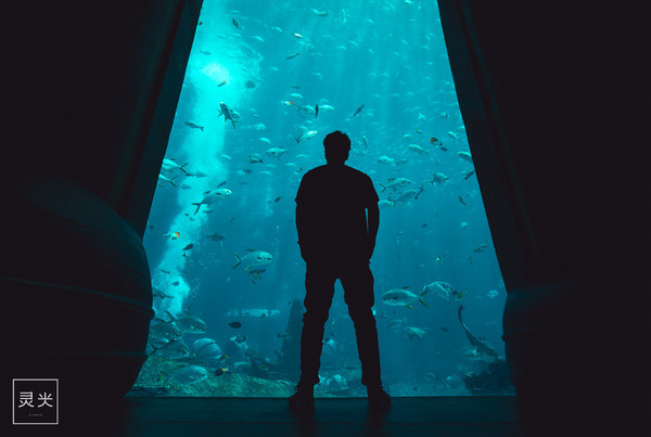 坐轮船多少钱三亚,去三亚坐轮渡7座车多少钱