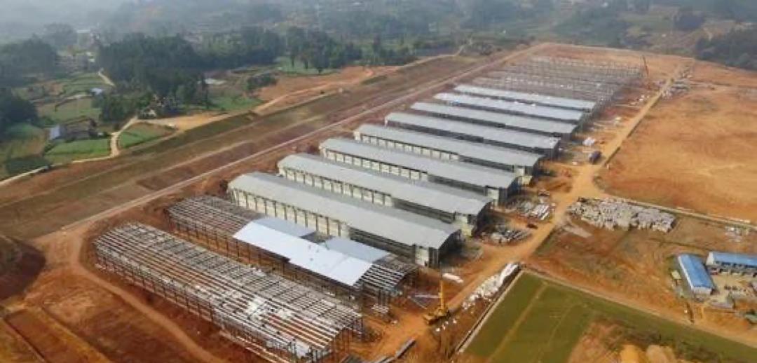 今日鸡蛋价格明天鸡蛋还能涨价吗,2021年鸡蛋价格同比上涨的原因