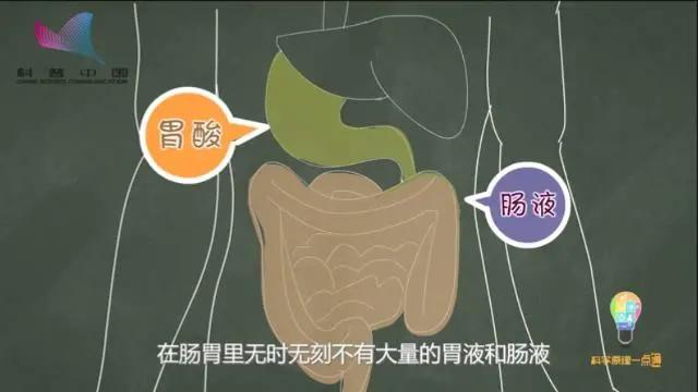 不小心吞了口香糖到肚子里没事吧,不小心吞了口香糖要吃什么药吗