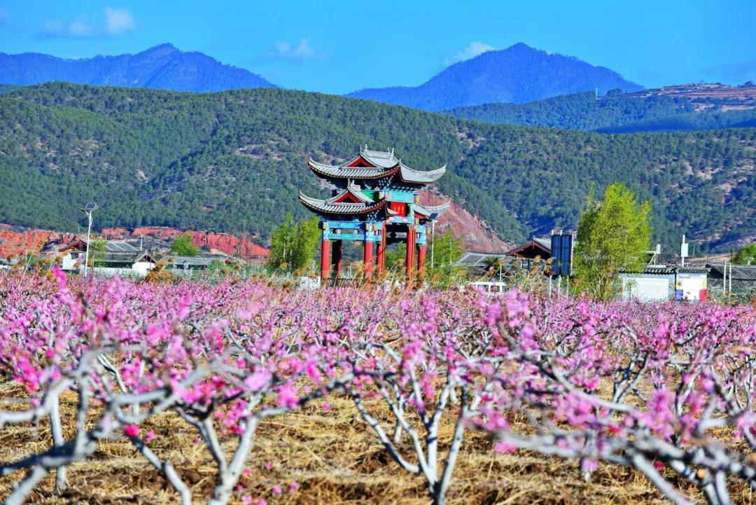 瞧!这花花世界谁不爱