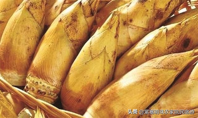 安吉藏龙百瀑山庄,浙江安吉藏龙百瀑民宿推荐