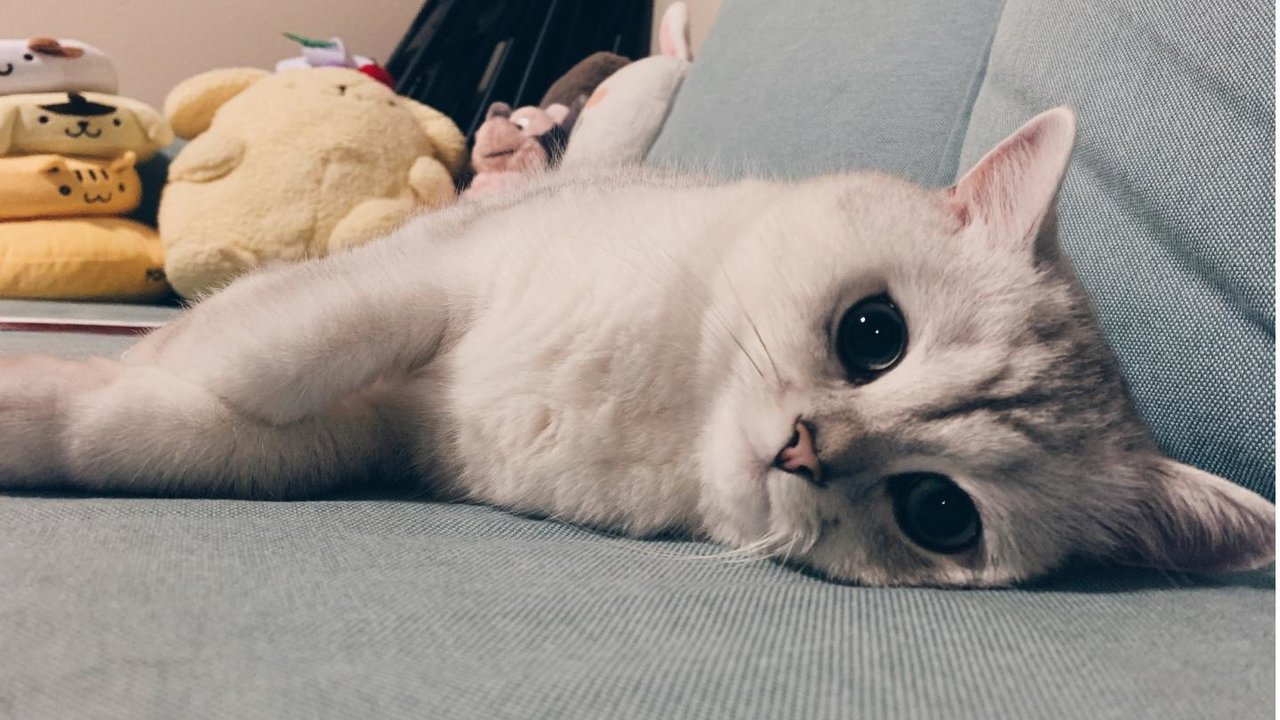 抑郁症患者的自我救赎,抑郁症病人自我疗愈法