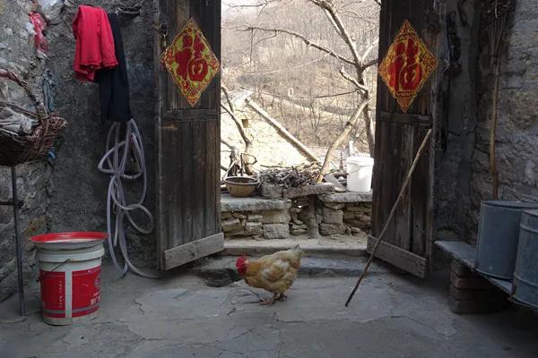 我们的老屋全部视频,我们家的老房子视频