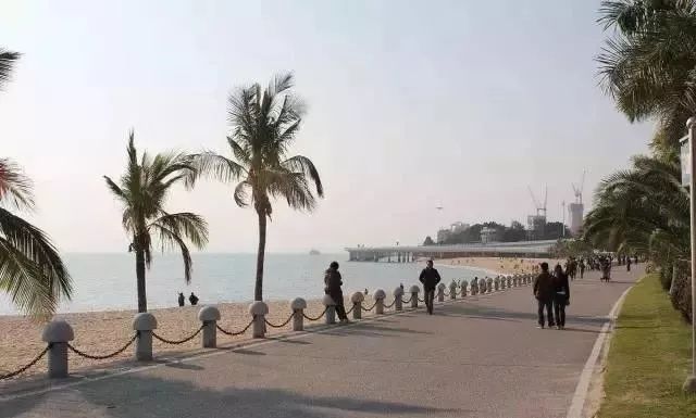 大象岛旅游攻略,大象鹭岛攻略