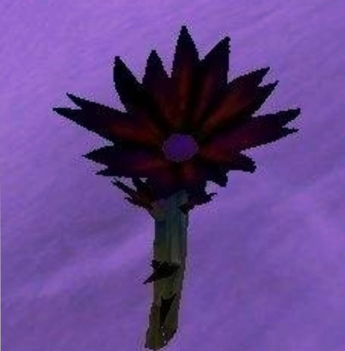 魔兽世界怀旧服tbc防骑学什么专业,魔兽世界怀旧服wlk练什么专业技能