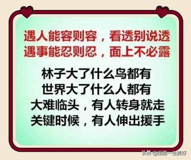 林子大了什么鸟都有正能量,林子大了什么鸟都有凡事别太当真