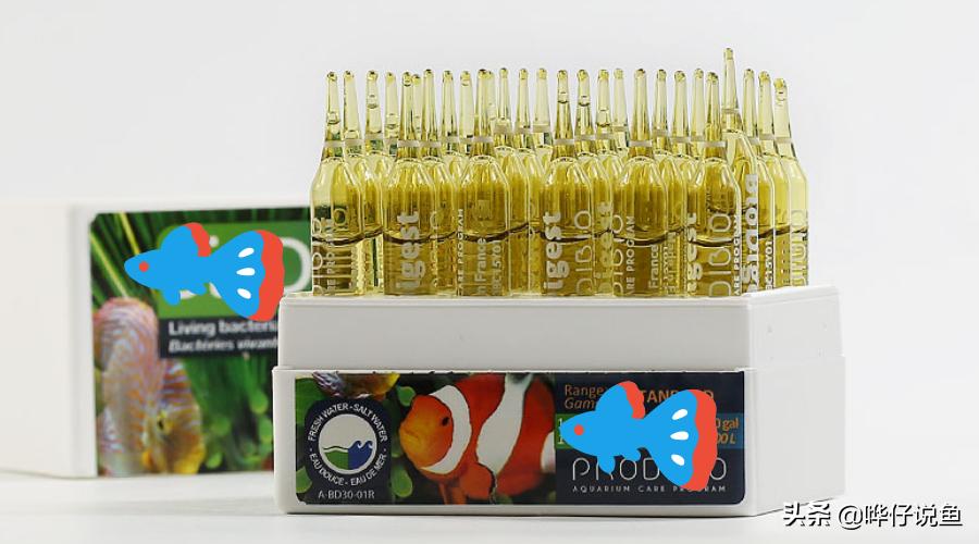 怎样自己给热带鱼培养硝化细菌,培养硝化细菌就能养好鱼吗