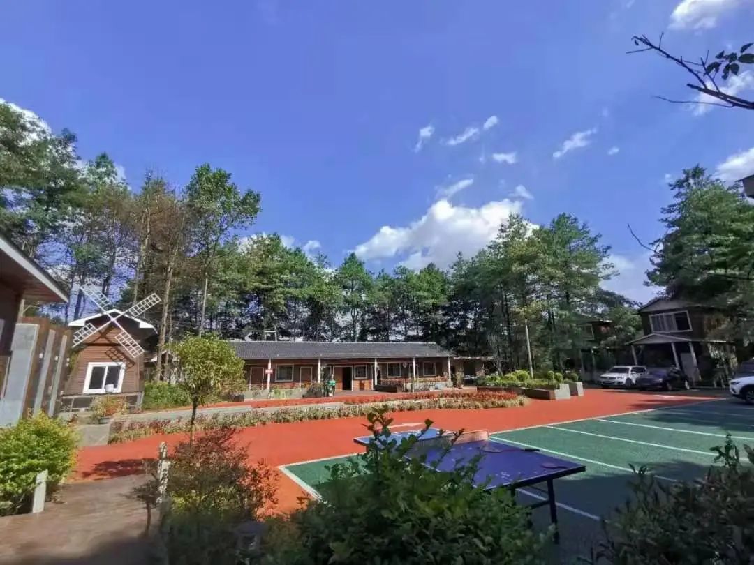 赏春图鉴丨赏花海、品清茶、尝美食...乌当百宜镇这条宝藏春游线路,就等你来打卡啦!