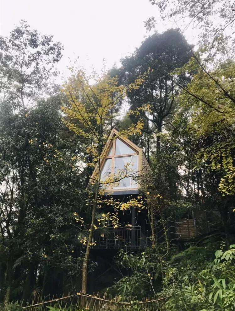 成都周边拍照打卡民宿,成都适合拍照的网红打卡地民宿