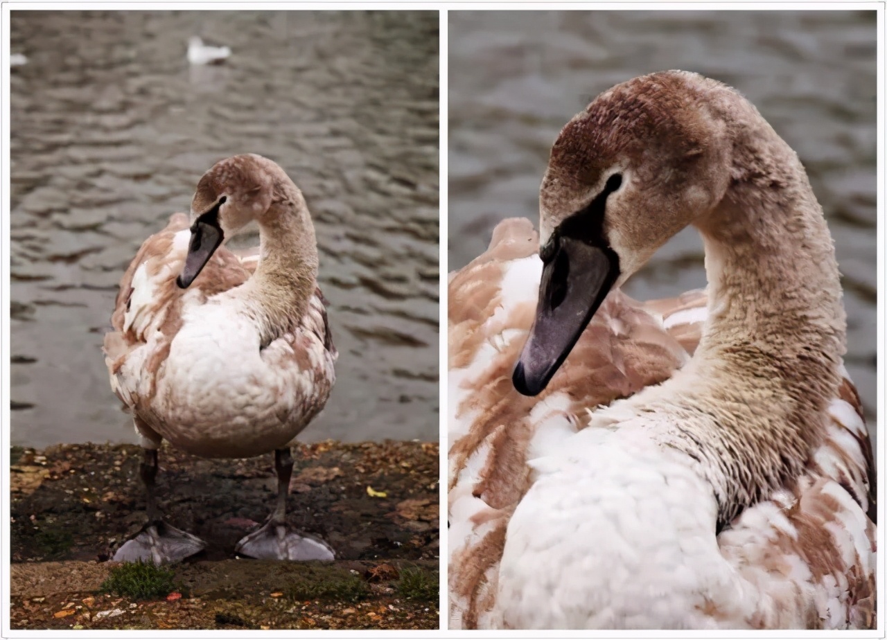新手摄影怎么拍出质感,新手如何拍出好的作品