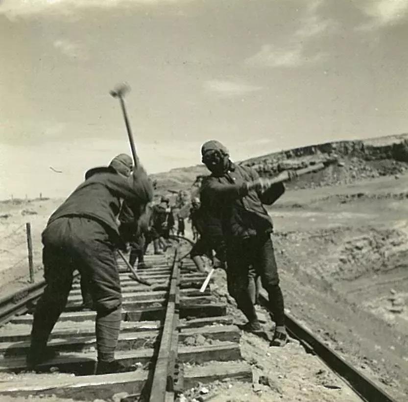 你可能没见过的姓氏,你可能没见过的日语