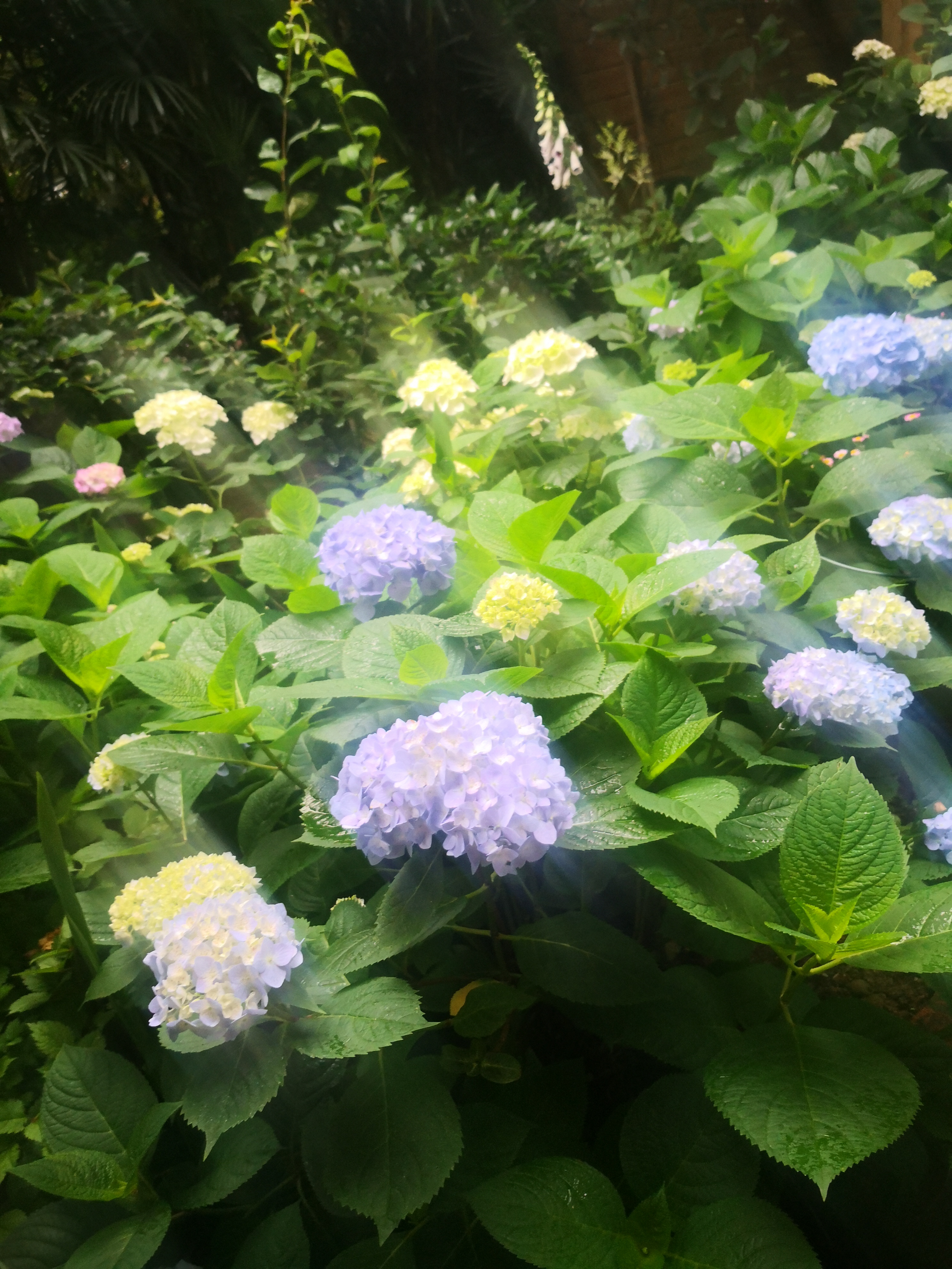 七年和婆婆吵架,跟婆婆吵架了后再怎么跟她相处