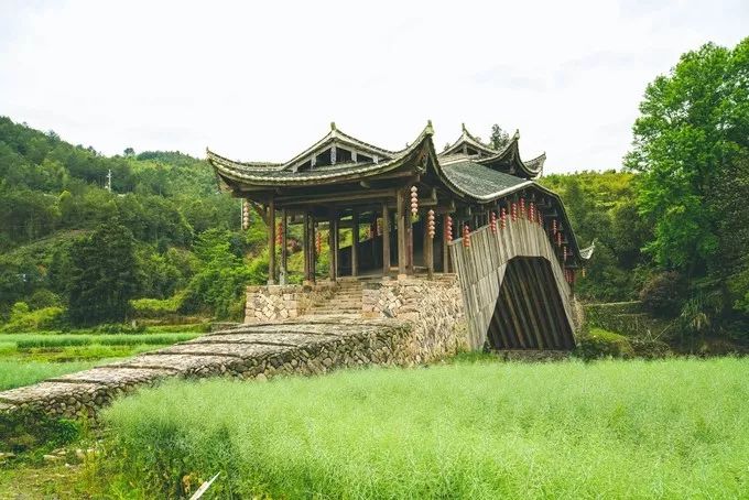 泰顺旅游自驾游景点推荐,浙南小九寨泰顺一日游