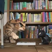 黑猫鲁道夫真人版,黑猫鲁道夫