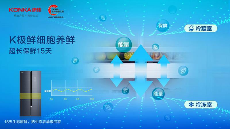 冰箱双金奖双认证,康佳三门冰箱一级能效