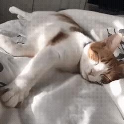 盘点那些中彩票的搞笑场面,中彩票的搞笑图片