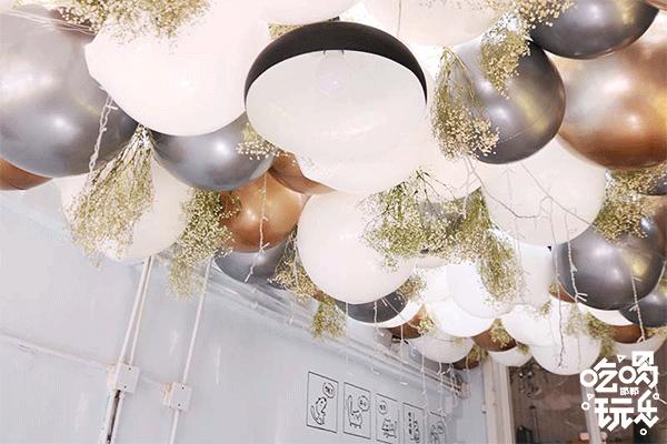 软萌暴击!邯郸这家高颜值猫咖上线,“吸猫”终于提上日程!