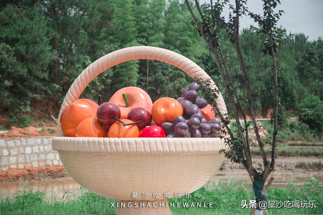 长沙小水果之乡,湖南长沙宝藏打卡地