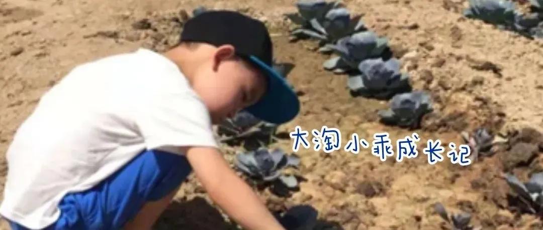 必看的动画片学习英语,学英语的动画片基础教程