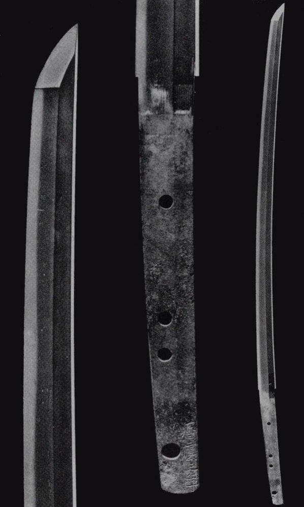 仁王大太刀武功,仁王太刀图片大全