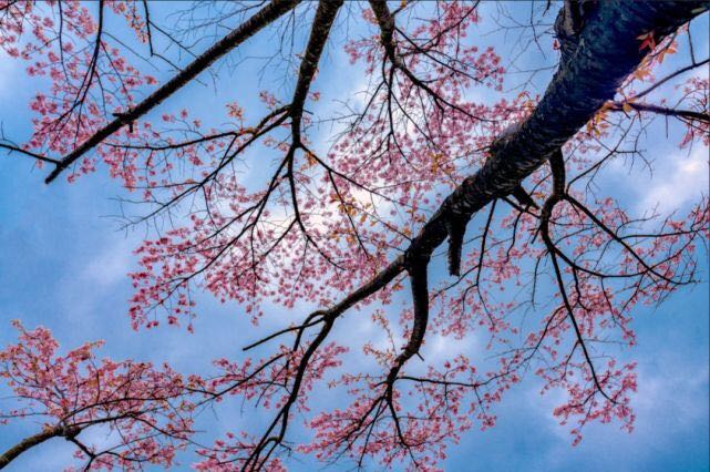 丰都龙景花园避暑房,丰都南天湖避暑房推荐