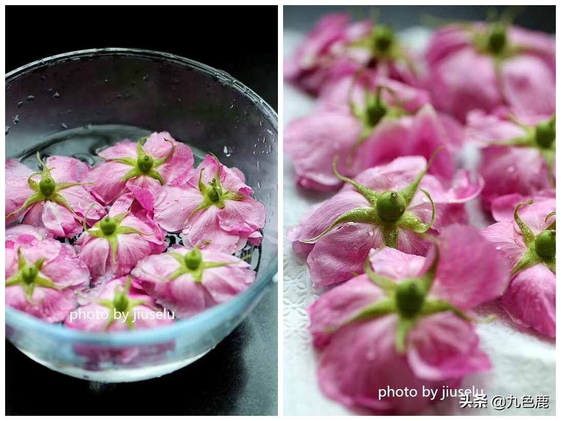 百花的功效与作用及食用方法,百花的功效和作用和食用方法
