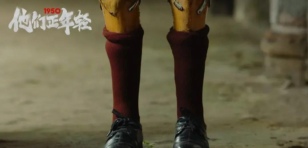 1950他们正年轻纪录片解说,纪录片1950他们正年轻