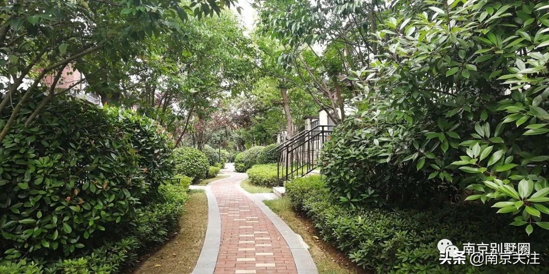 南京首开新项目房价,南京山居温泉楼盘