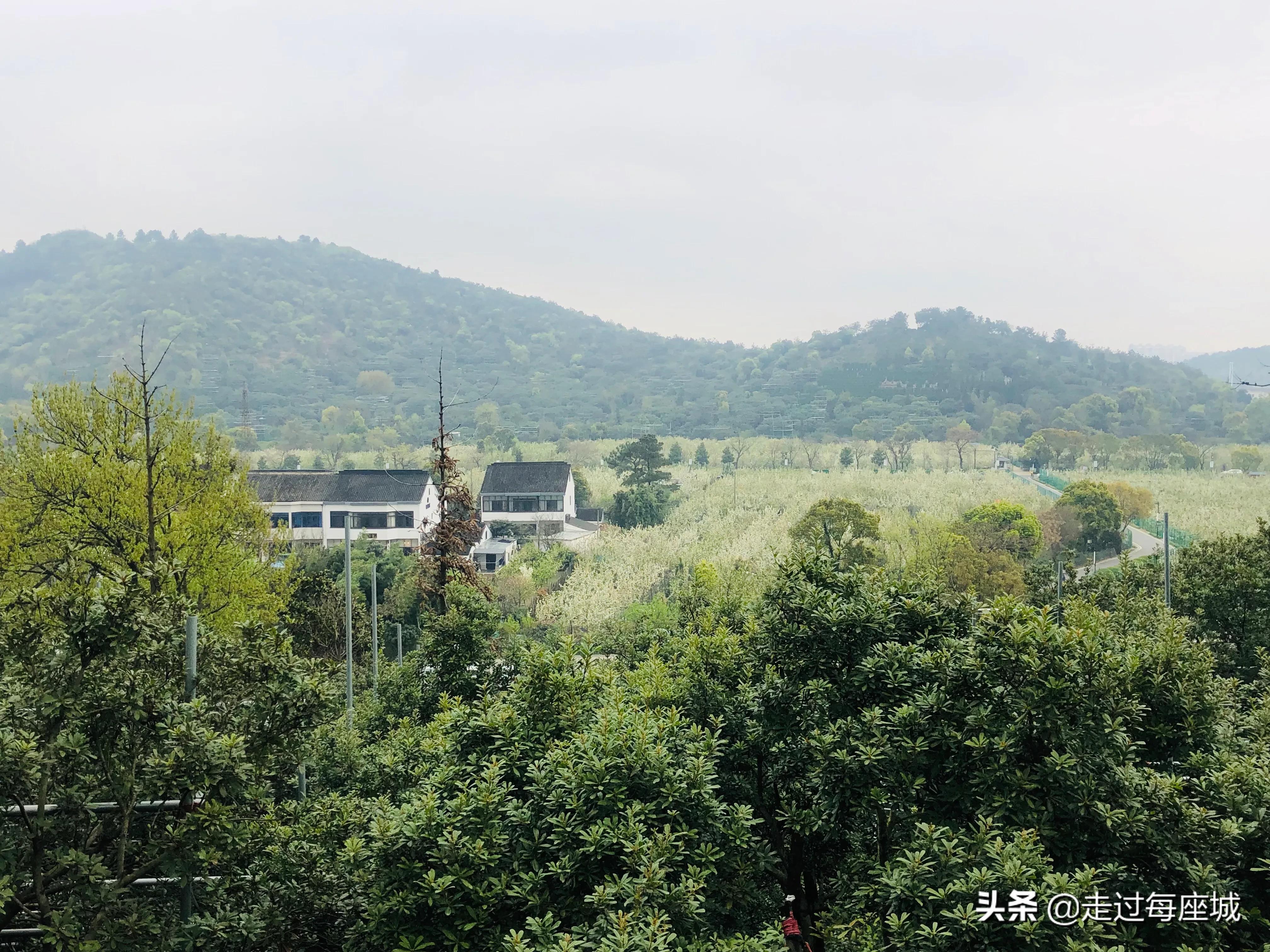 苏州小众却很棒的原生态的古镇,苏州必去的古村