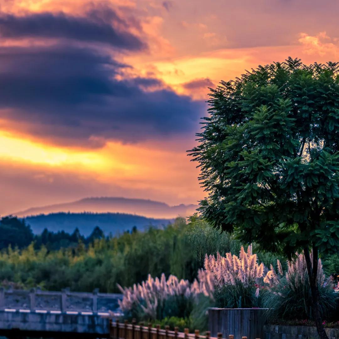 腾冲地热火山门票,腾冲的地热资源